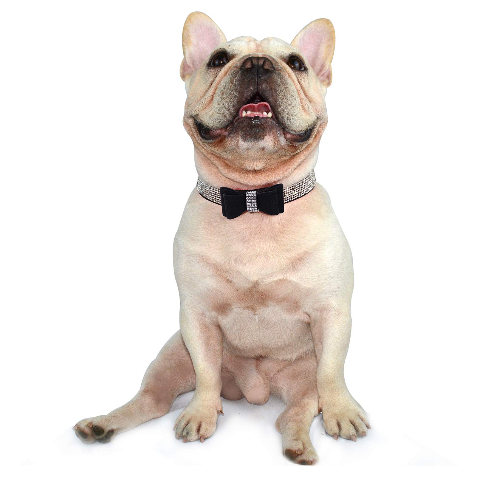 Glitzer-Hundehalsband Mit Strass & Schmetterling – Weiches Wildleder, Größe L, Für Kleine & Mittlere Hunde