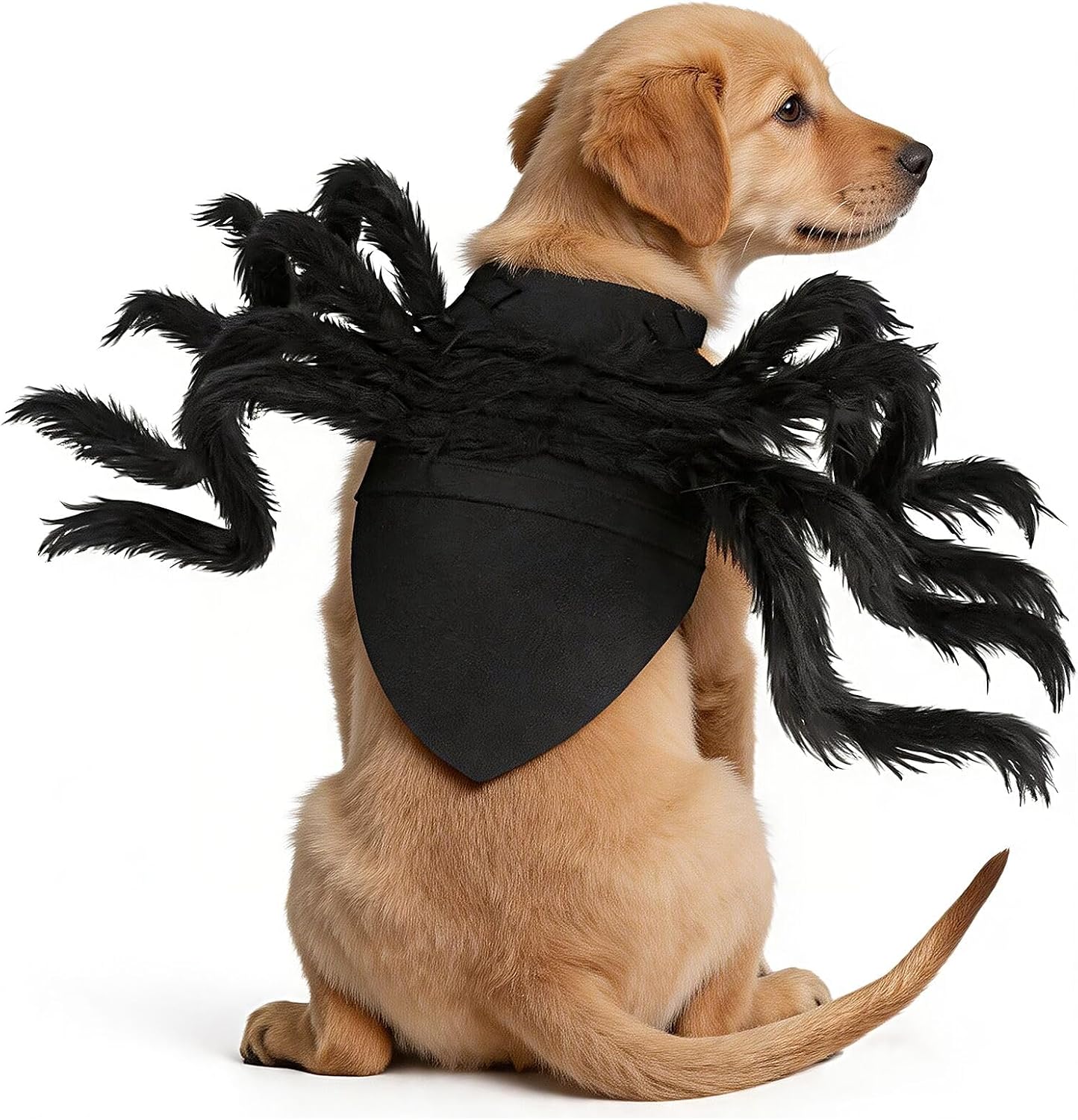 Halloween Spider Costume for Dog, Halloween Pet Costume Halloween Decorations, Spider Decor Halloween Party Supply, Spider Cosplay Costumes with Adjustable Velcro for Small Medium Dogs and Cats