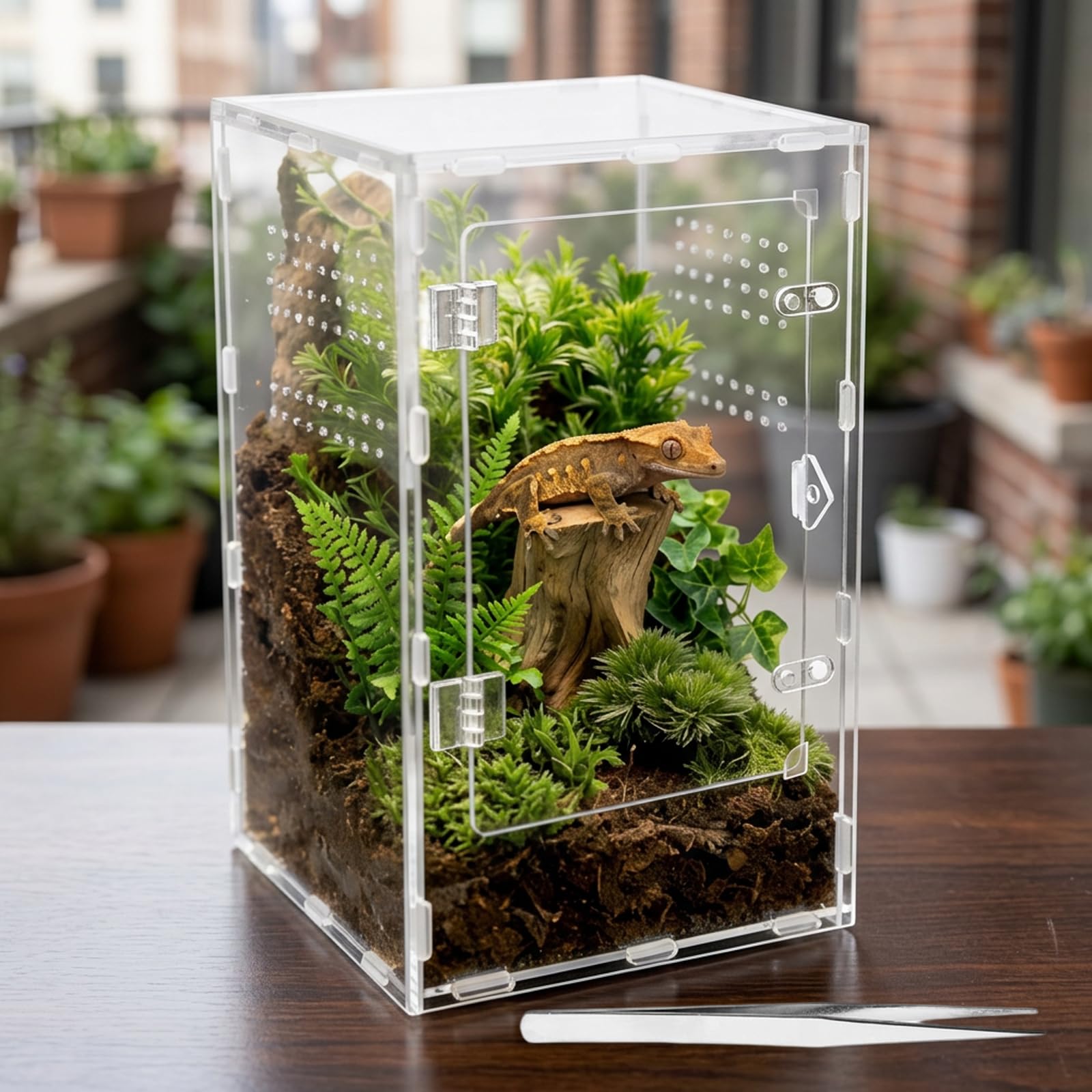 1Pcs Jumping Spider Enclosure, Mantis Enclosure, Terrarium, Stick Insect Habitat, 20 x 20 x 30 cm Acrylic Terrarium for Spiders, Snails, and Reptiles