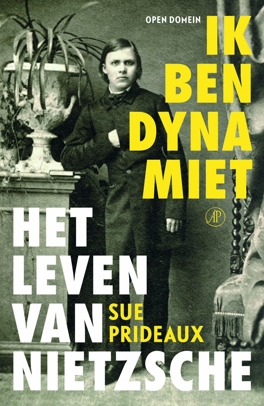 Ik ben dynamiet: het leven van Nietzsche (Open domein, 54)