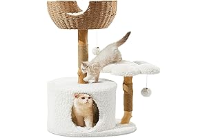 Modern Cat Tree with Branch Scratching Post for Active Cats