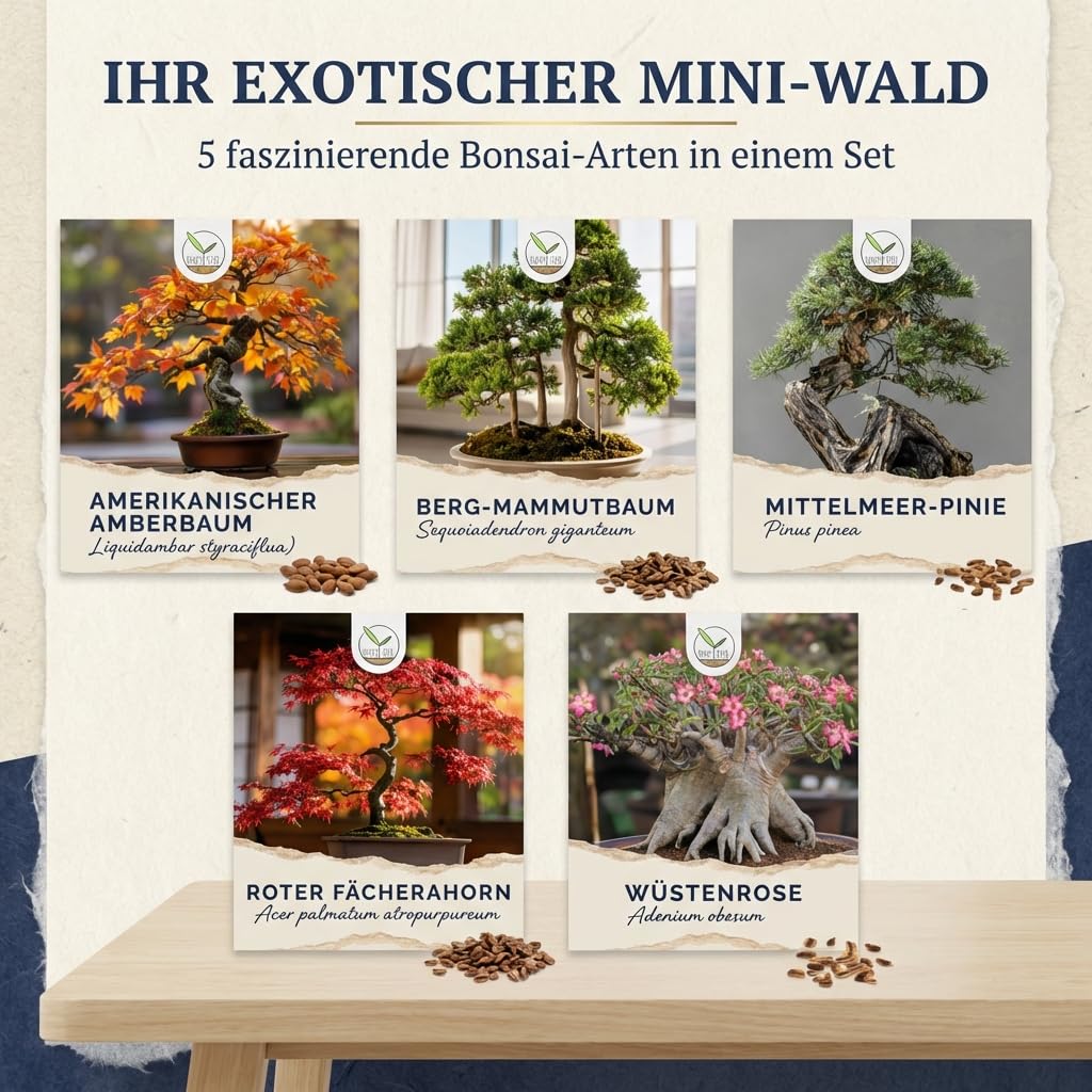 Semillas de bonsái excepcionales con una alta tasa de germinación - Set de semillas de plantas para tu propio árbol de bonsái (set de 5 piezas, guía electrónica GRATUITA)