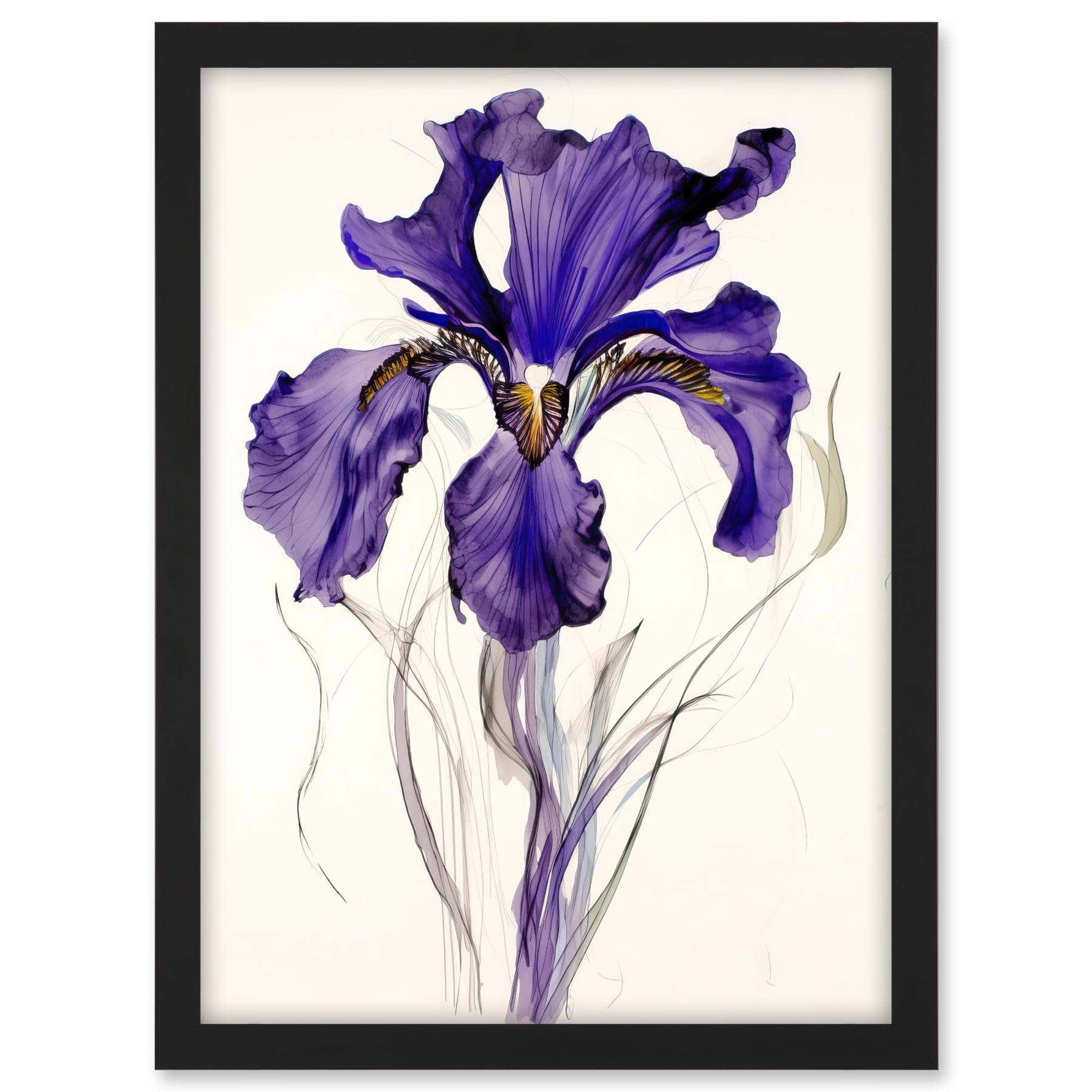 Artery8 Iris Reticulata Watercolour Flower Bloom Drawing Artwork Framed A3 Wall Art Print