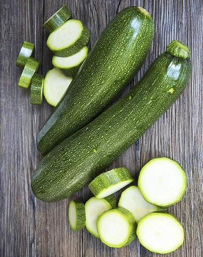 Miniatura 2 de Seeds SunGreen Zucchini Courgette Squash Heirloom Vegetable for Planting Non GMO