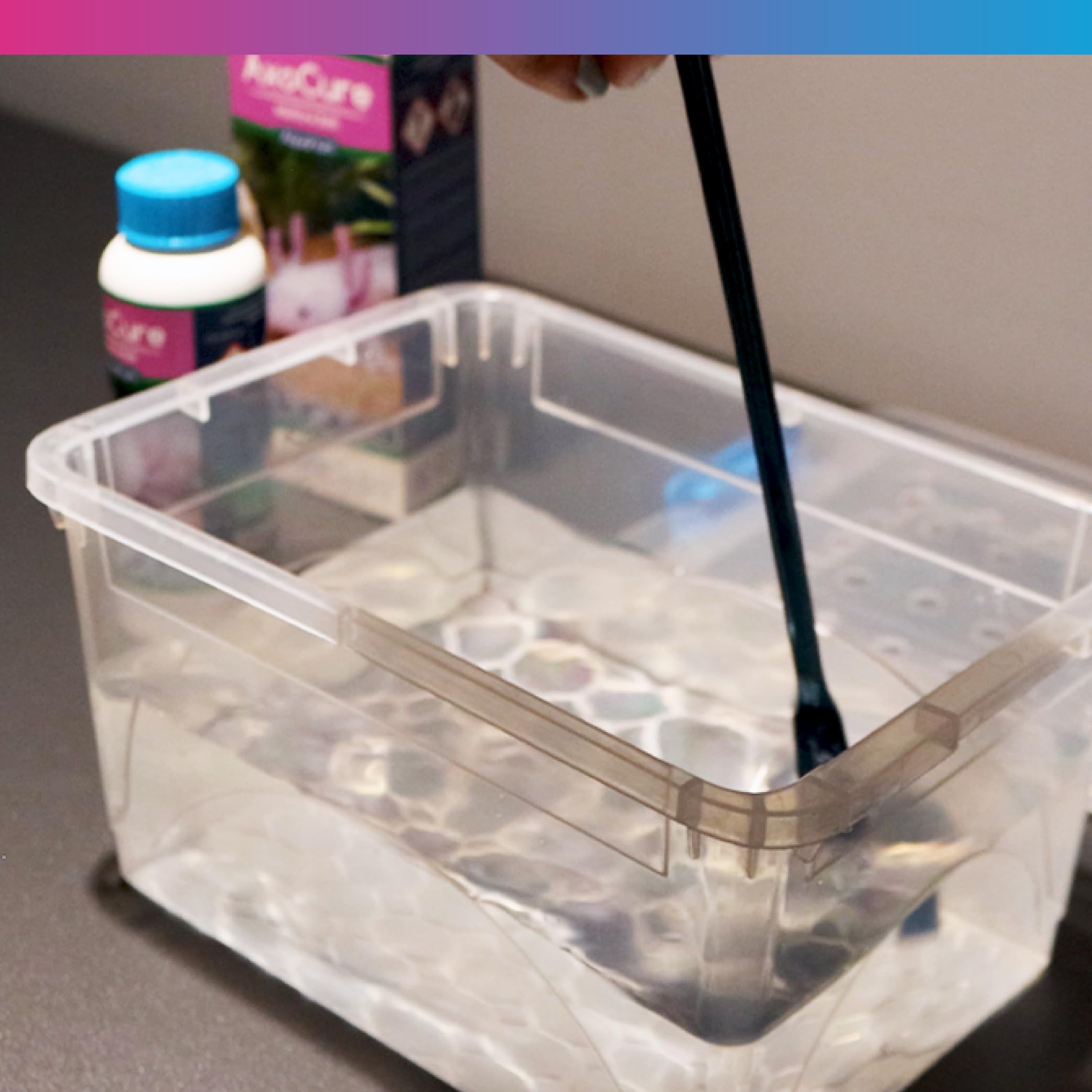 NT Labs AxoCure Treats Axolotls For External Parasitic Infections Including Mongenetic Trematodes - Image 4