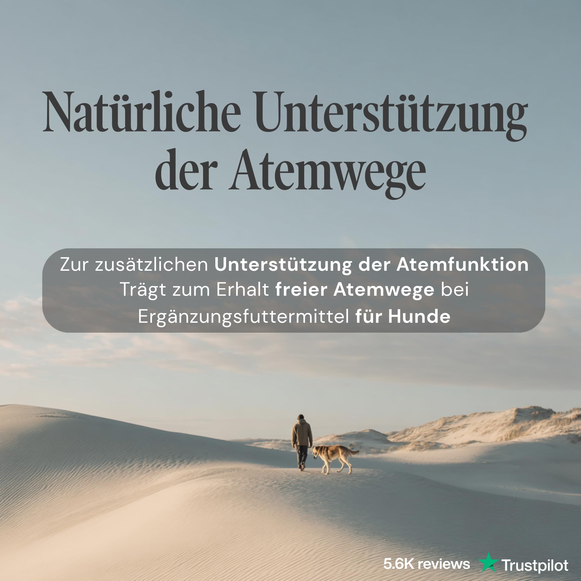 Pulmitranq Hund - Kräuter für Atemwege & Lunge - 90 Tabl.