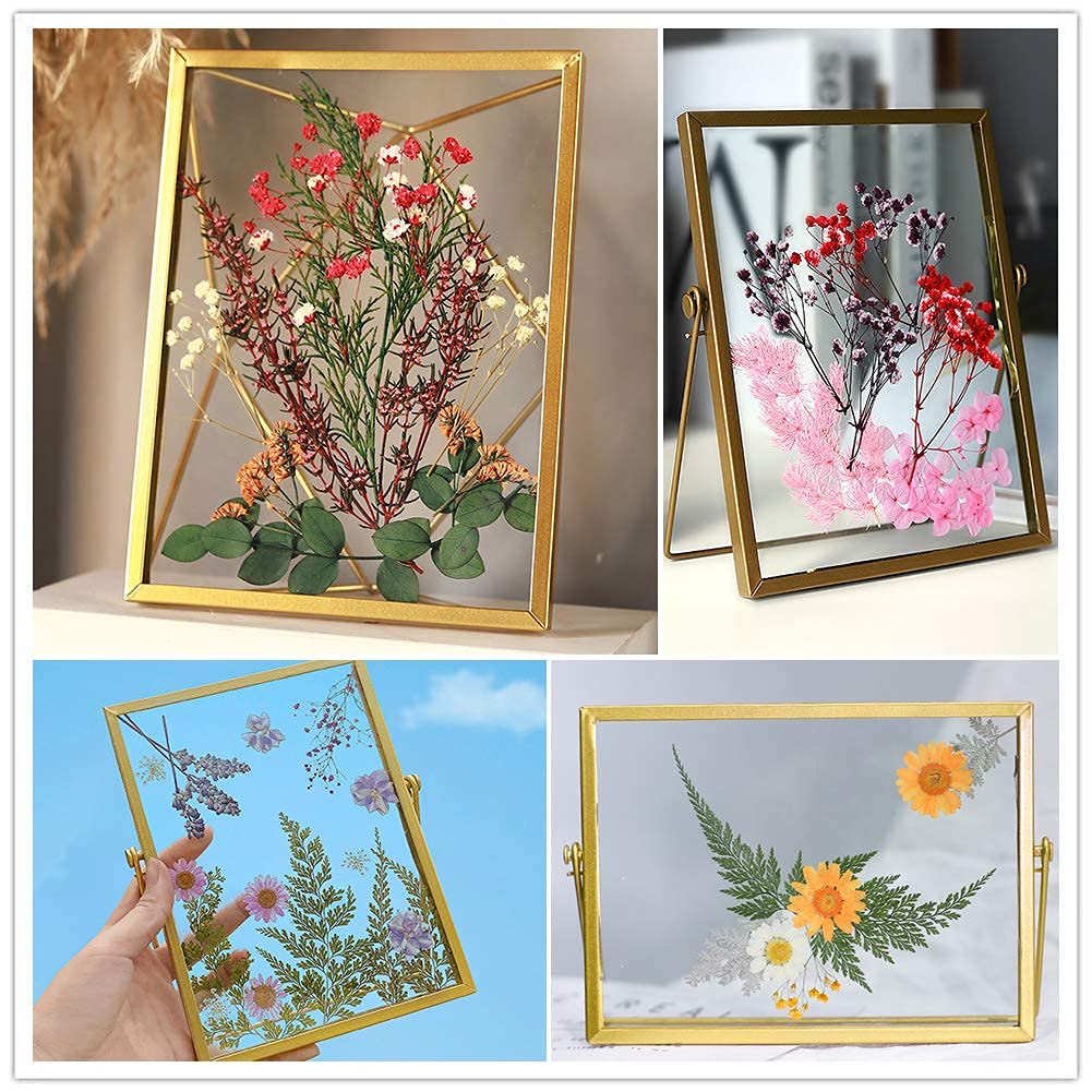 FYBlossom Trockenblumen Set Für Basteln Und DIY - Natürliche Blumen