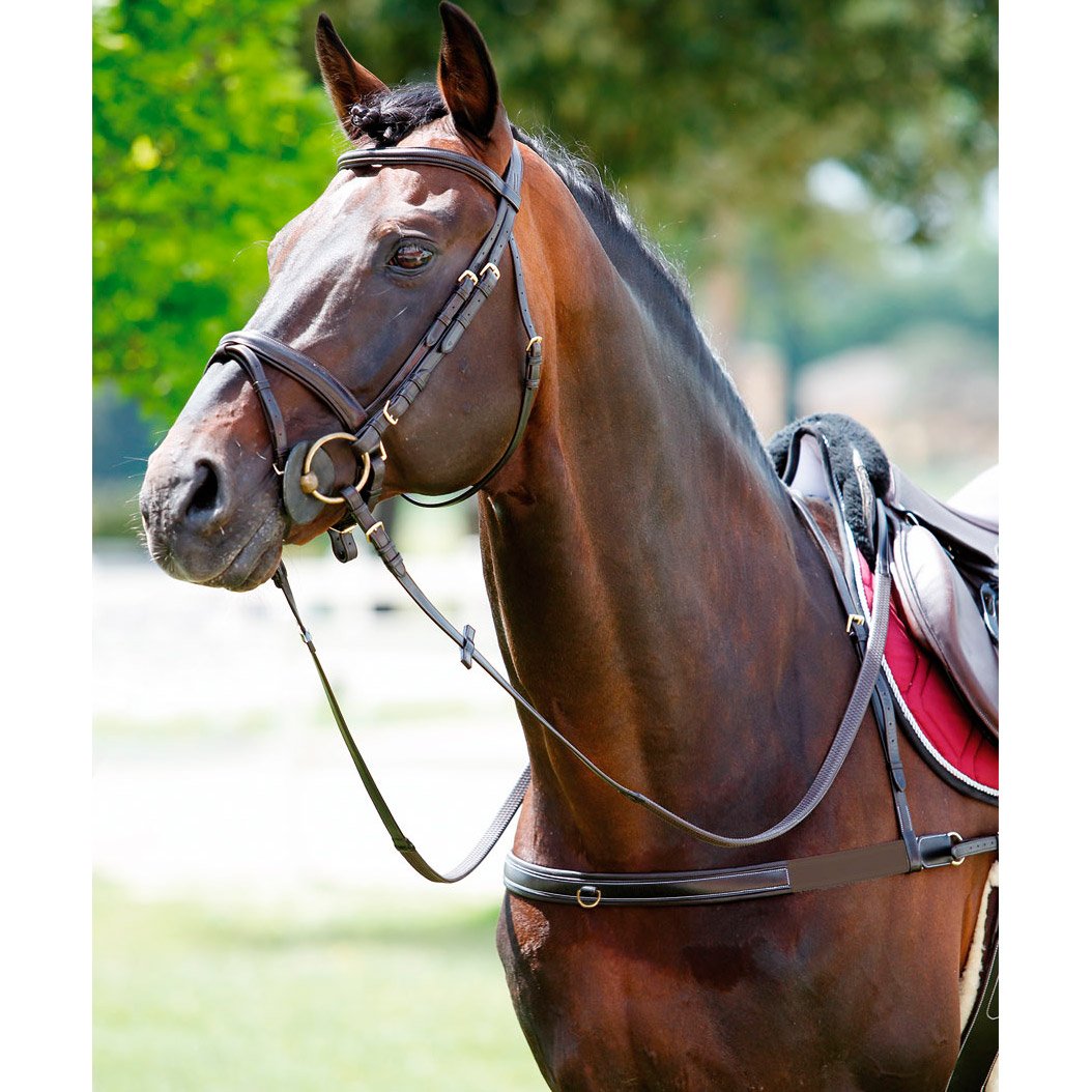 Tattini Collier de Chasse pour Cheval élastique avec col Amovible