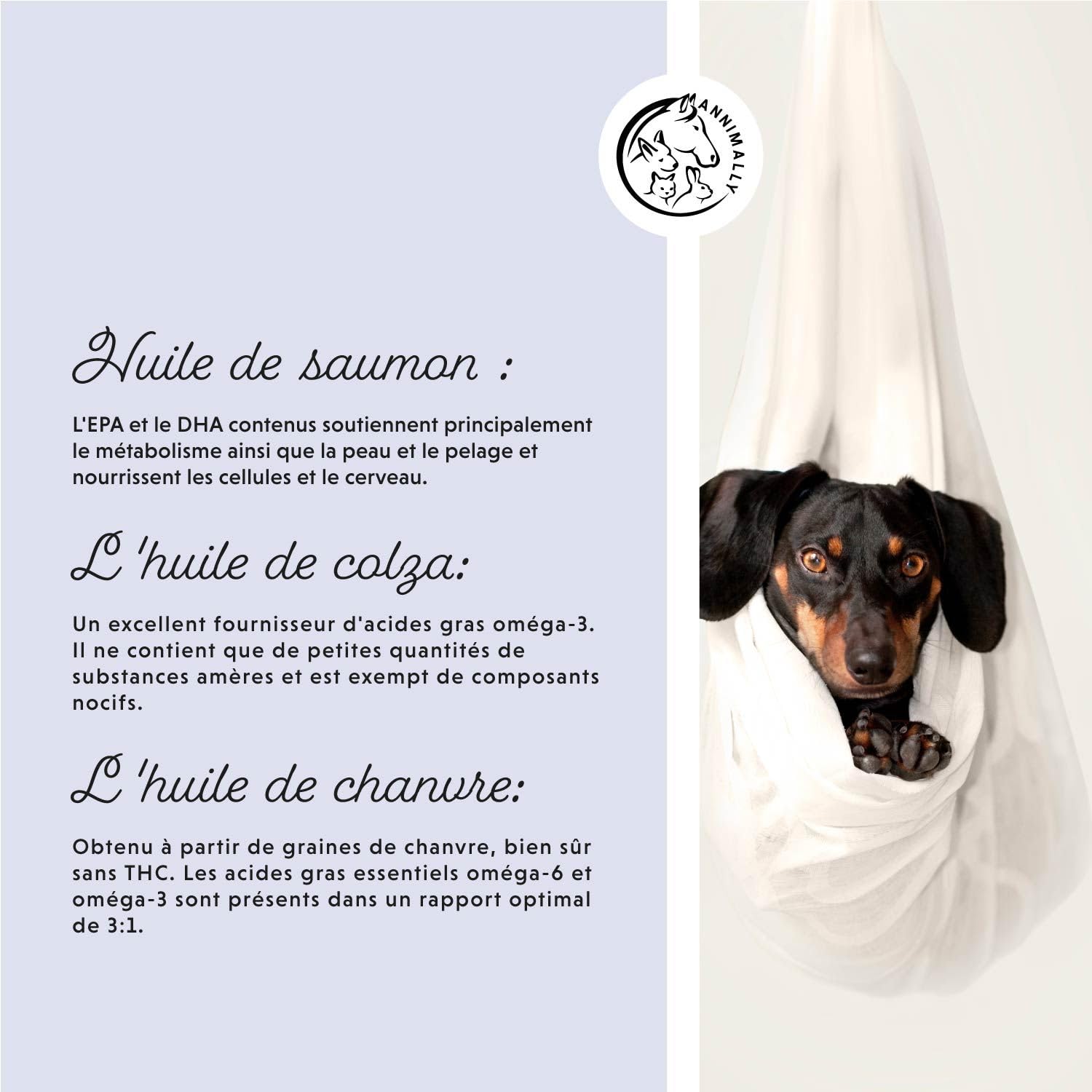 Huile BARF pour chiens 500ml Huile Barf avec Omega 3-6-9 à partir de: huile de saumon, huile de colza, huile de chanvre et huile de bourrache - huile alimentaire pour chien comme garniture alimentaire