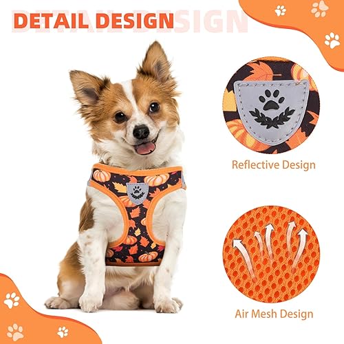 Miniatura 41 de KOOLTAIL Juego de arnés y correa para perros pequeños y medianos, arnés de malla suave sin tirones para perro, cómodo chaleco acolchado