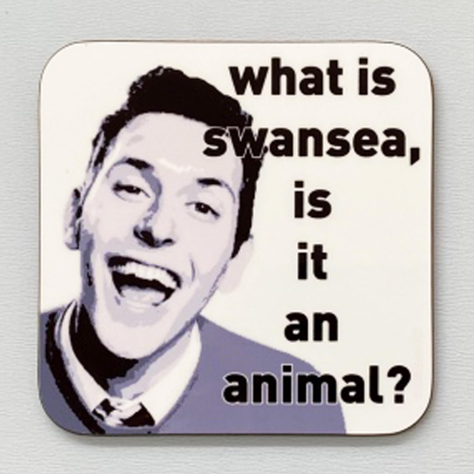 Coasteroo What Is Swansea, Is It An Animal? - Neil From The Inbetweeners - Drinks Coaster - Hardboard - 9Cm X 9Cm - Gloss Finish