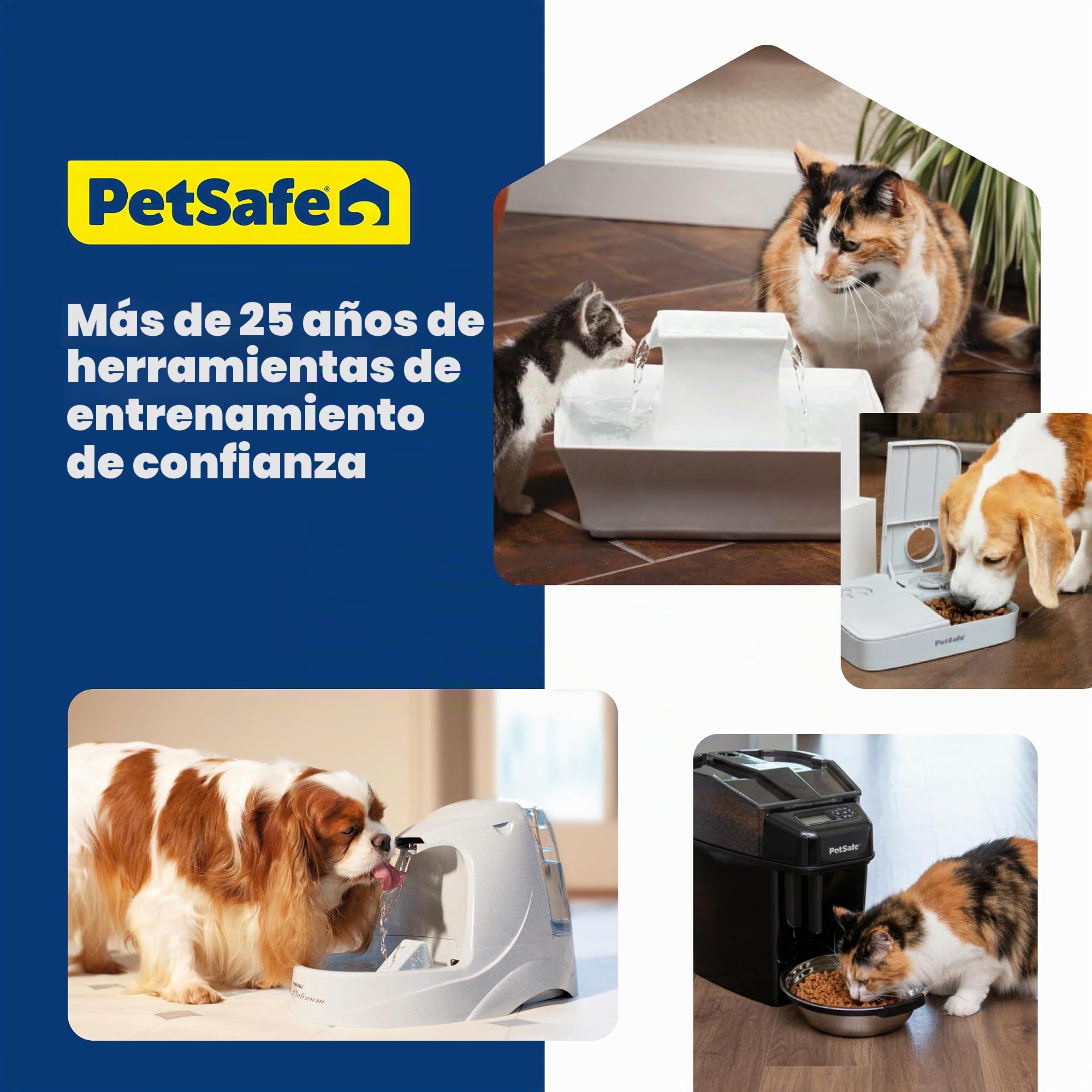 PetSafe Seaside Pet Waterfontein, Capacidad de Agua de 1,8 l, Fuente de Acero Inoxidable para Gatos, Ayuda a prevenir el acné en Las Mascotas, Material Resistente a los arañazos y la oxidación
