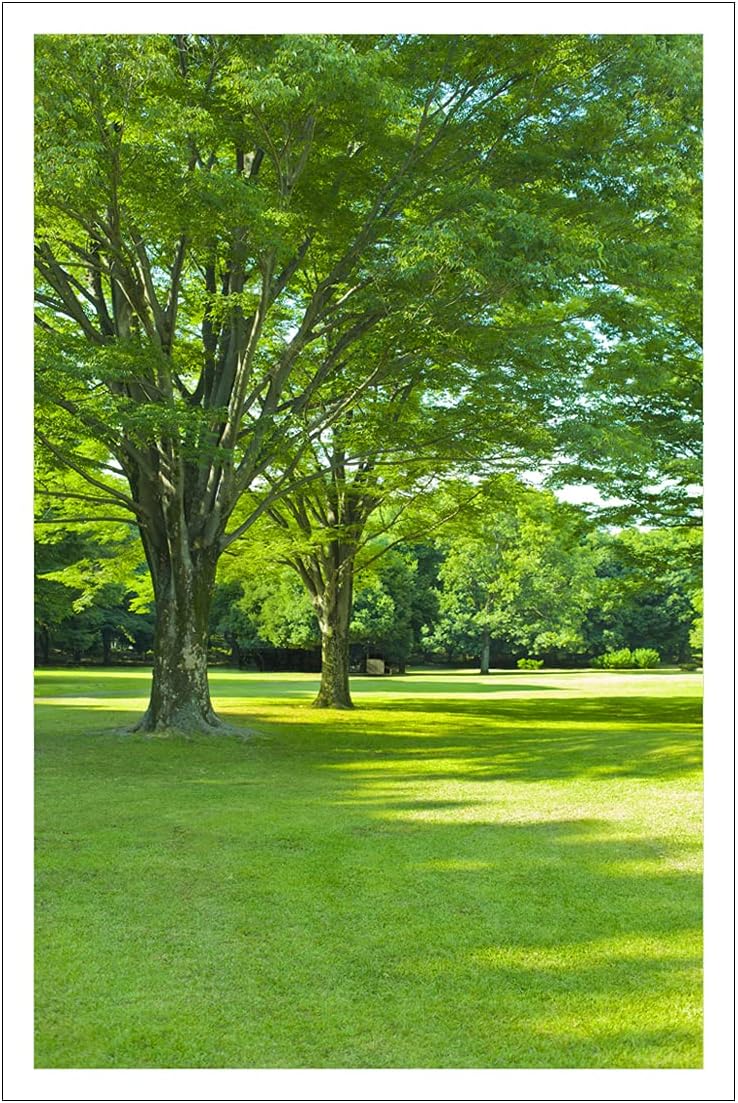 Treemaison Lush Green Landscape - Vastu Remedy, Painting Without Frame- 12 x 18