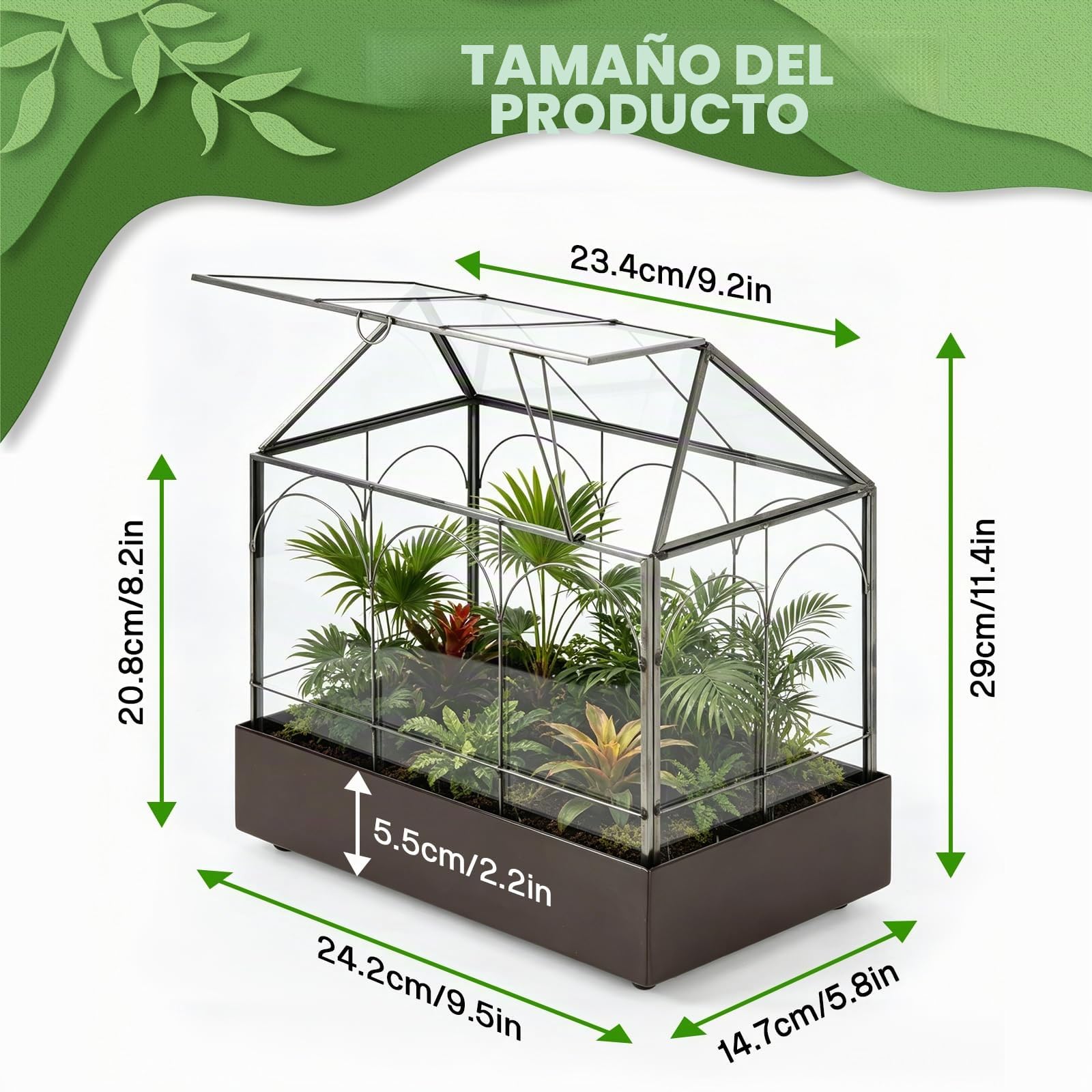 Terrario para plantas, 24,2 x 14,7 x 29 cm, cristal geométrico con bandeja recogedora, microcaja cerrada para suculentas, helecho (sin plantas)