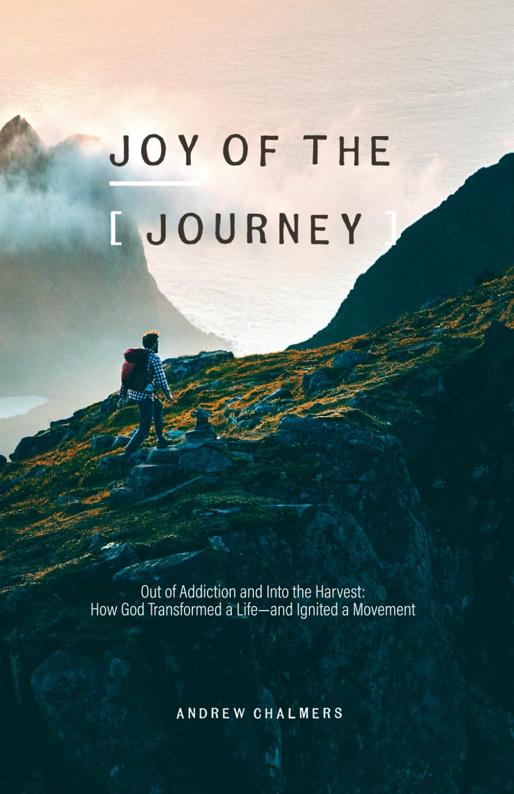Joy of the Journey: Out of Addiction and Into the Harvest: How God Transformed a Life— and Ignited a Mission