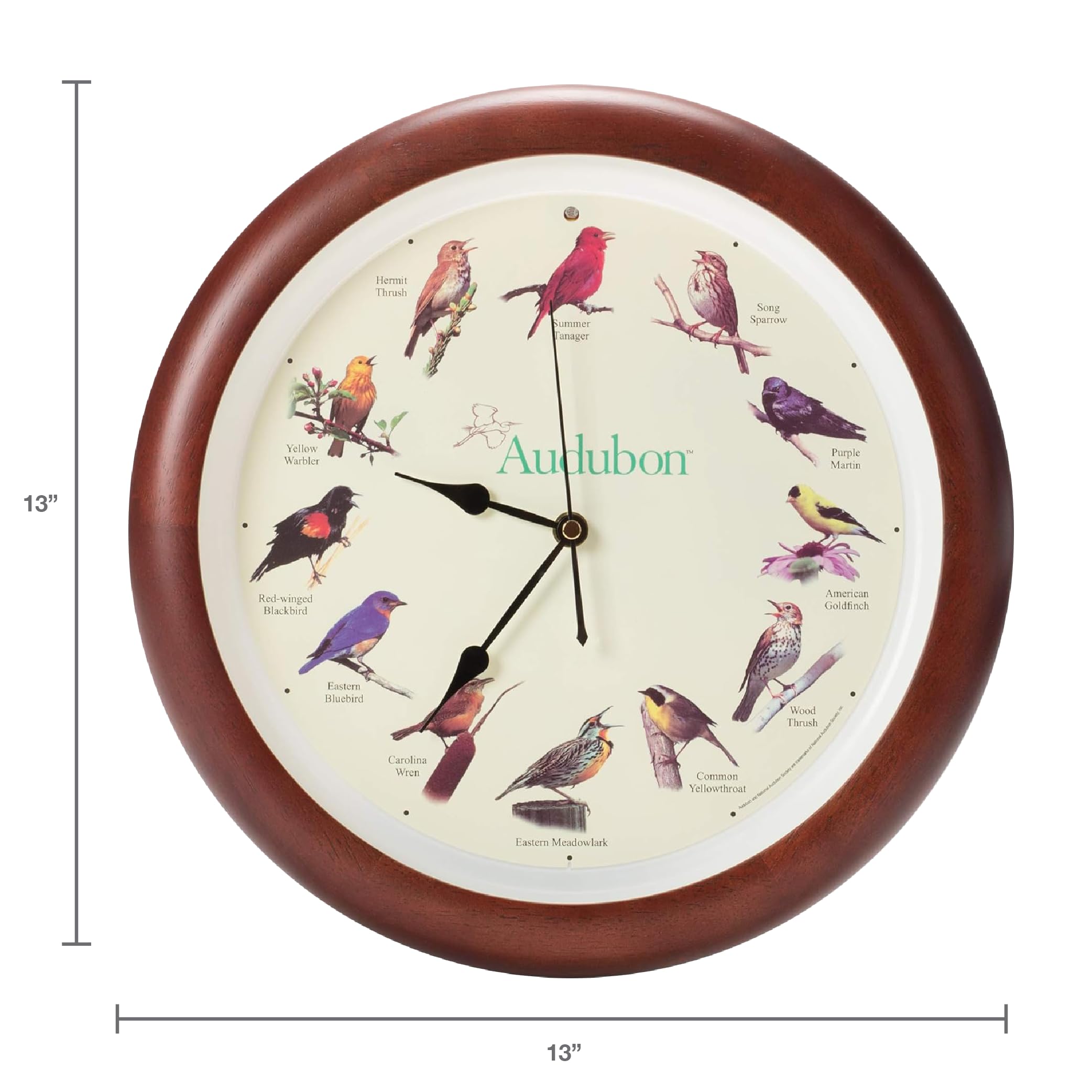 Amazon.com: Mark Feldstein, Audubon Singing Bird Wall Clock, 13
