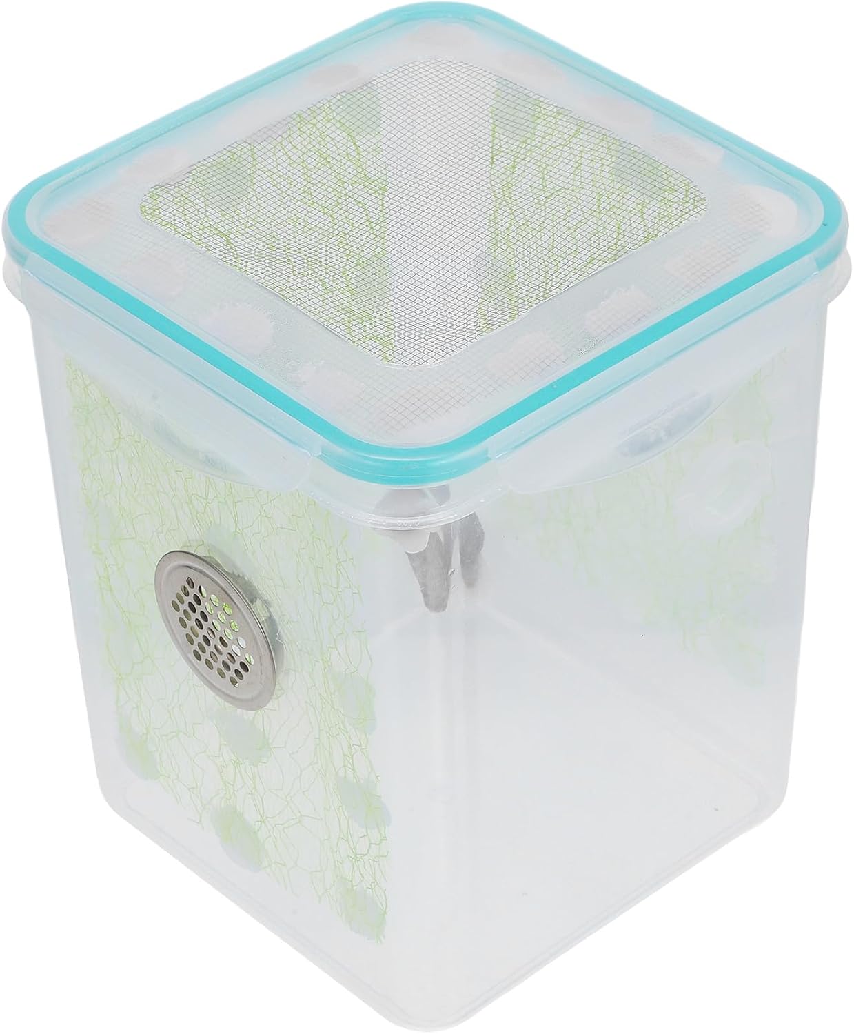 Mantis Enclosure with Vent Holes, Sturdy Plastic Terrarium Box
