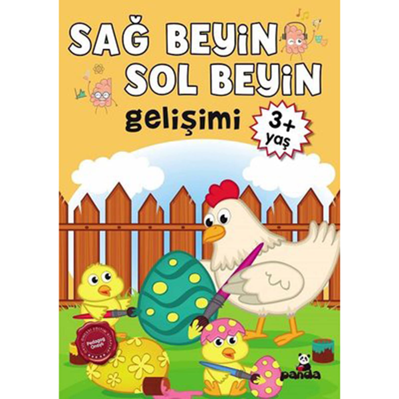 Sağ Beyin - Sol Beyin Gelişimi 3+ Yaş