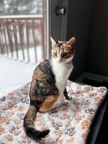 Review Image by The Cat Dads