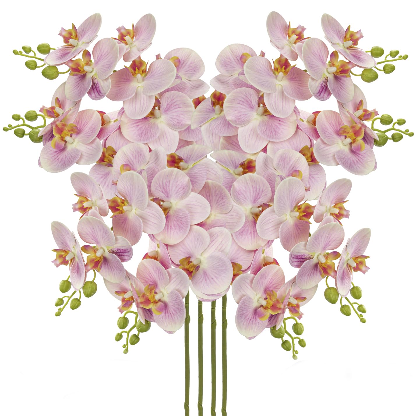 DILATATA 30 Inch Pink Orchids