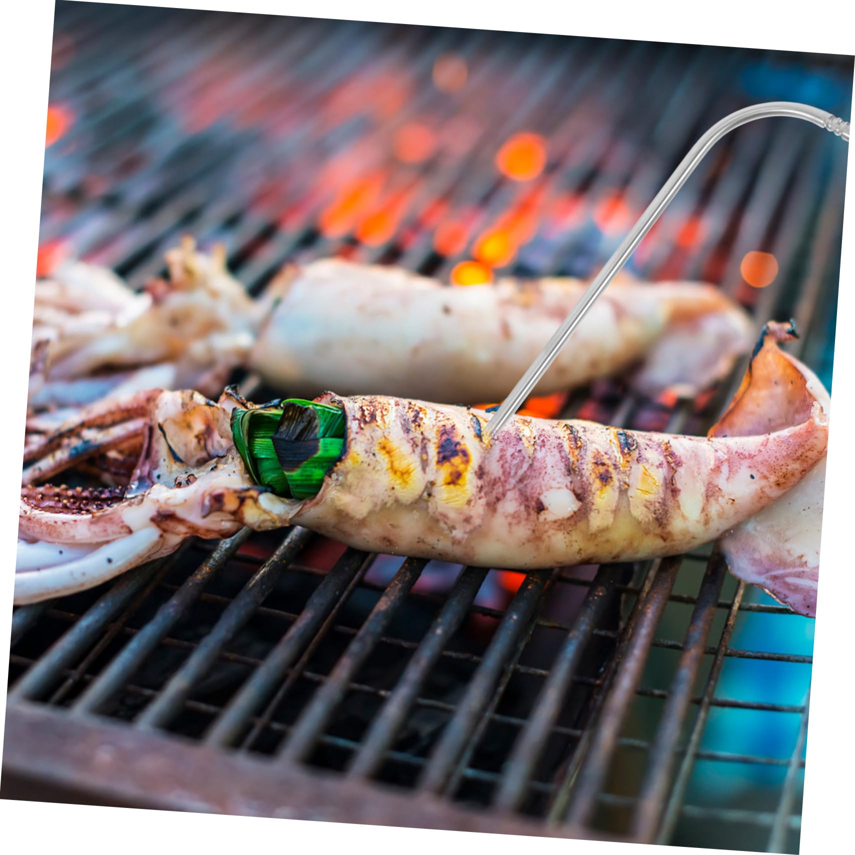 ibasenice 5 Sätze Bbq Fleischthermometer mit Silikonbeschichtetem Präziser Temperaturfühler für Grill für Fleisch Lebensmittel