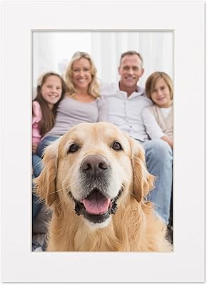 8.5x11 Mat for 11x17 Frame - Precut Mat Board Acid-Free White 8.5x11 Photo Matte Made to Fit a 11x17 Picture Frame, Premium Matboard for Family Photos, Show Kits, Art, Picture Framing, Pack of 1 Mat