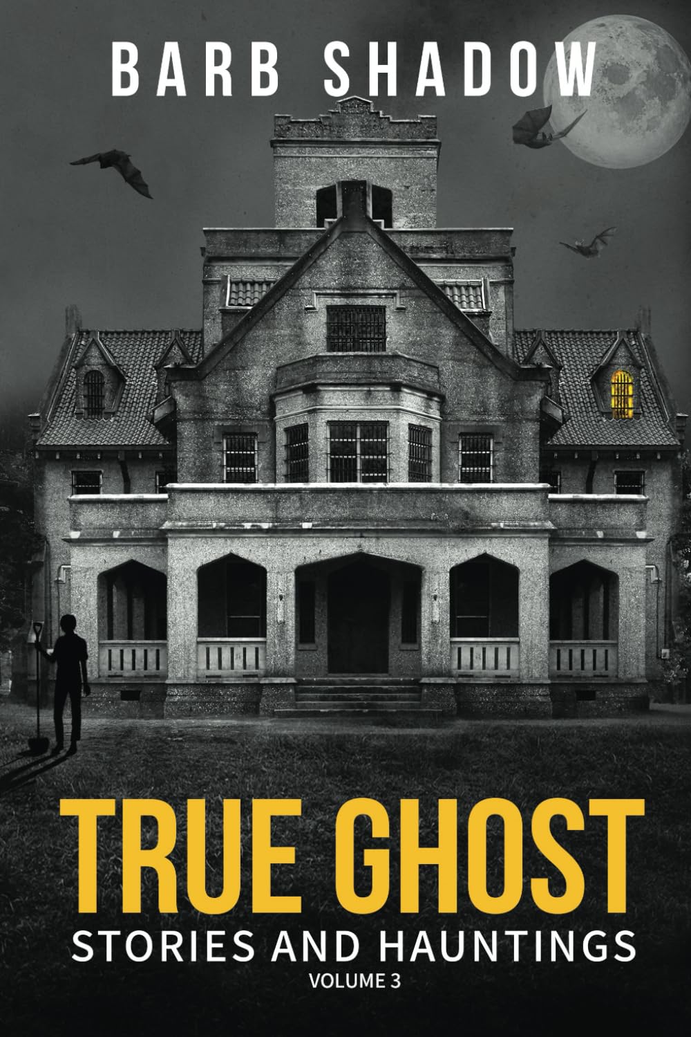 True Ghost Stories and Hauntings, Volume 3