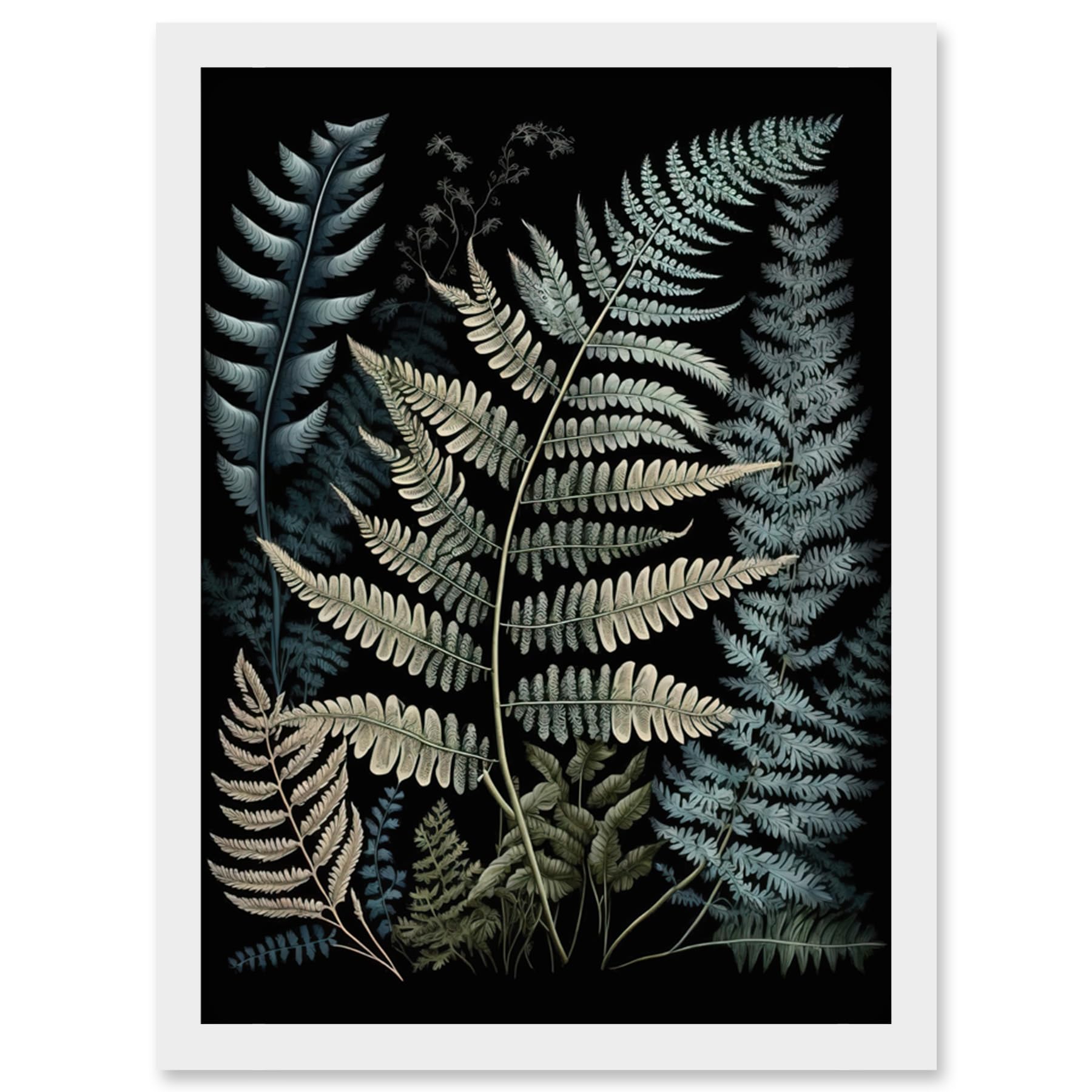 Artery8 Fern Frond Species Botanical Illustration Framed Wall Art Print A4