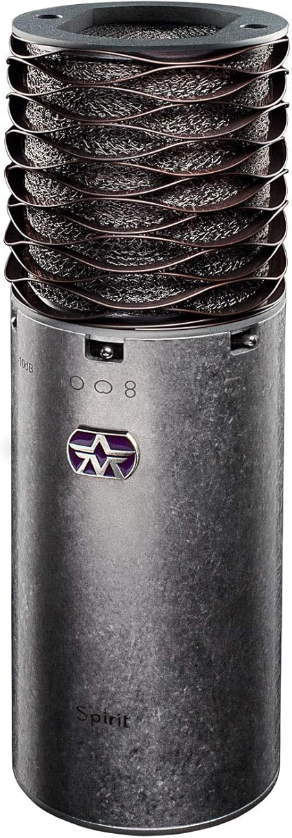 Amazon.com: Aston Microphones Spirit Large Diaphragm Multi-Pattern ...