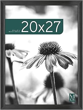 MCS Studio Gallery Classic 20x27 Poster Frame Black Woodgrain, Vertical & Horizontal Wall Hanging Large Picture Frame for Photos, Posters & Art Prints (1-Pack)