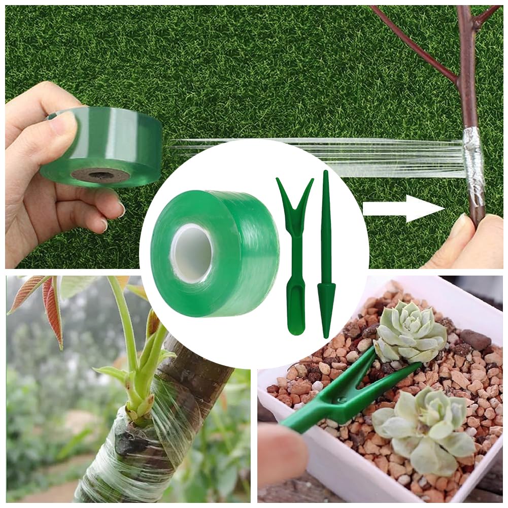 Nastro Per Innesti Piante - 2 Rotoli Da 100m X 2cm Per Giardinaggio Professionale - Foto 8