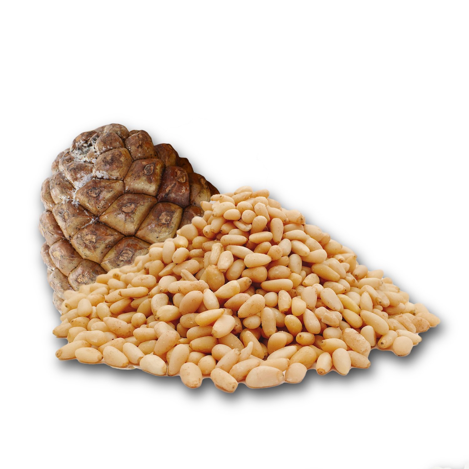 Eichkater Pinienkerne Medium 2er-Pack (2x250g)