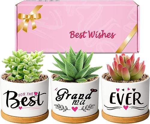 DEMACIYA Regalos de cumpleaños para abuela, macetas para suculentas y creativas para Navidad, regalo creativo para Gigi, el juego de macetas llega