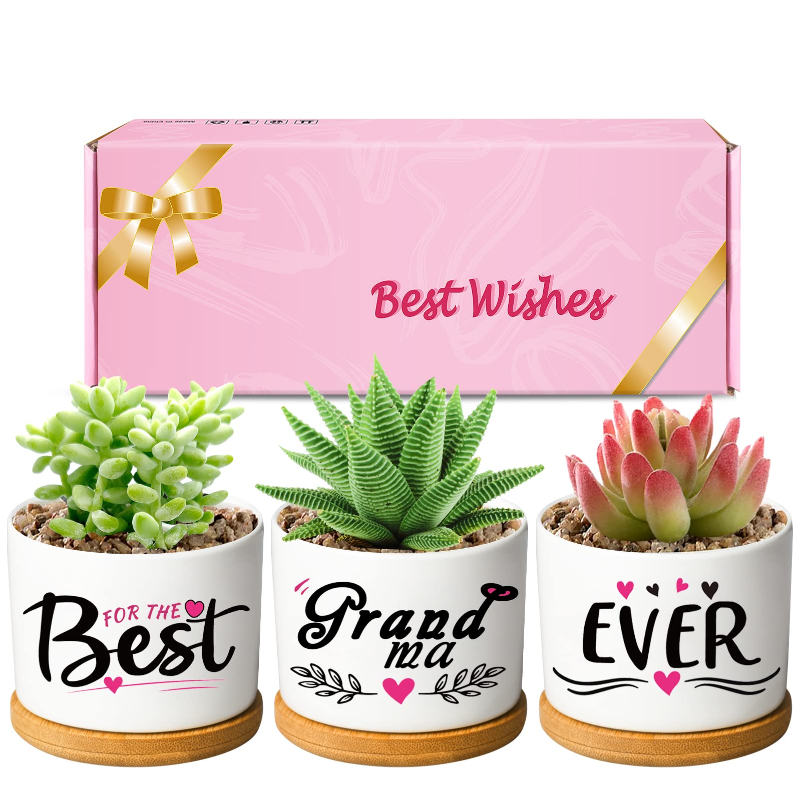 DEMACIYA for Grandma, Best Grandma Ever Birthday Gifts, Succulent Pots and Creative for Christmas Creative Present for Gigi, Plant Pots Set Arrive Beautifully Gift Boxed