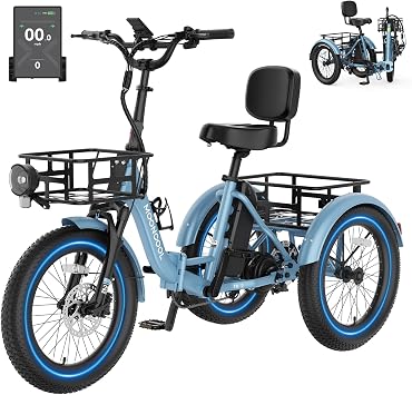 MOONCOOL Electric Tricycle for Adults, 500W/750W 20" Fat Tire Folding Trike
