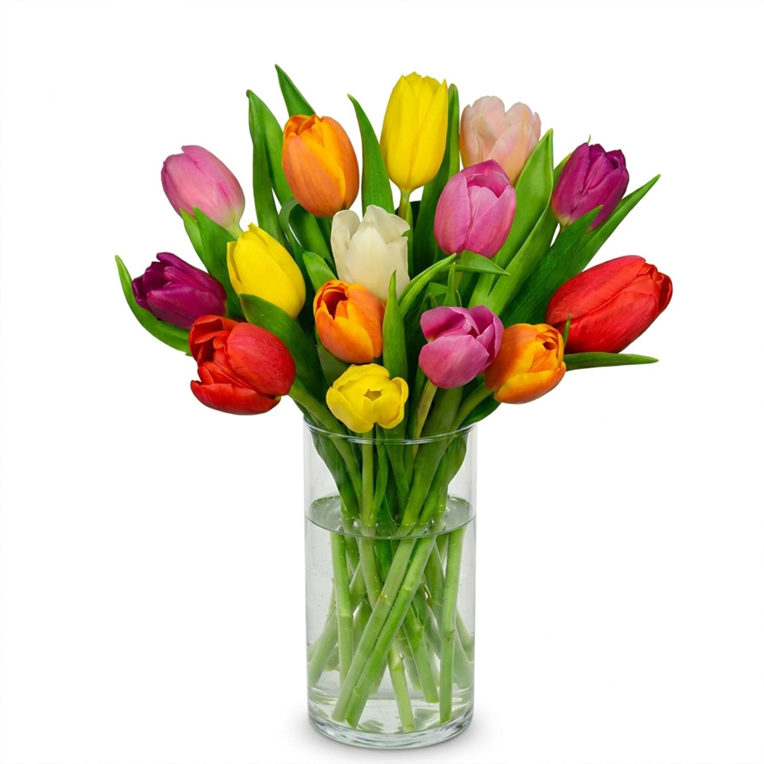 American Florals Rainbow Tulips 15 Stems - Mixed Colors Fresh Cut Tulip Arrangement - USA Wrapped Fresh Flower Gift for Thank You, Easter Decorations, Mother’s Day - Approx. 50 Cm Stem Length