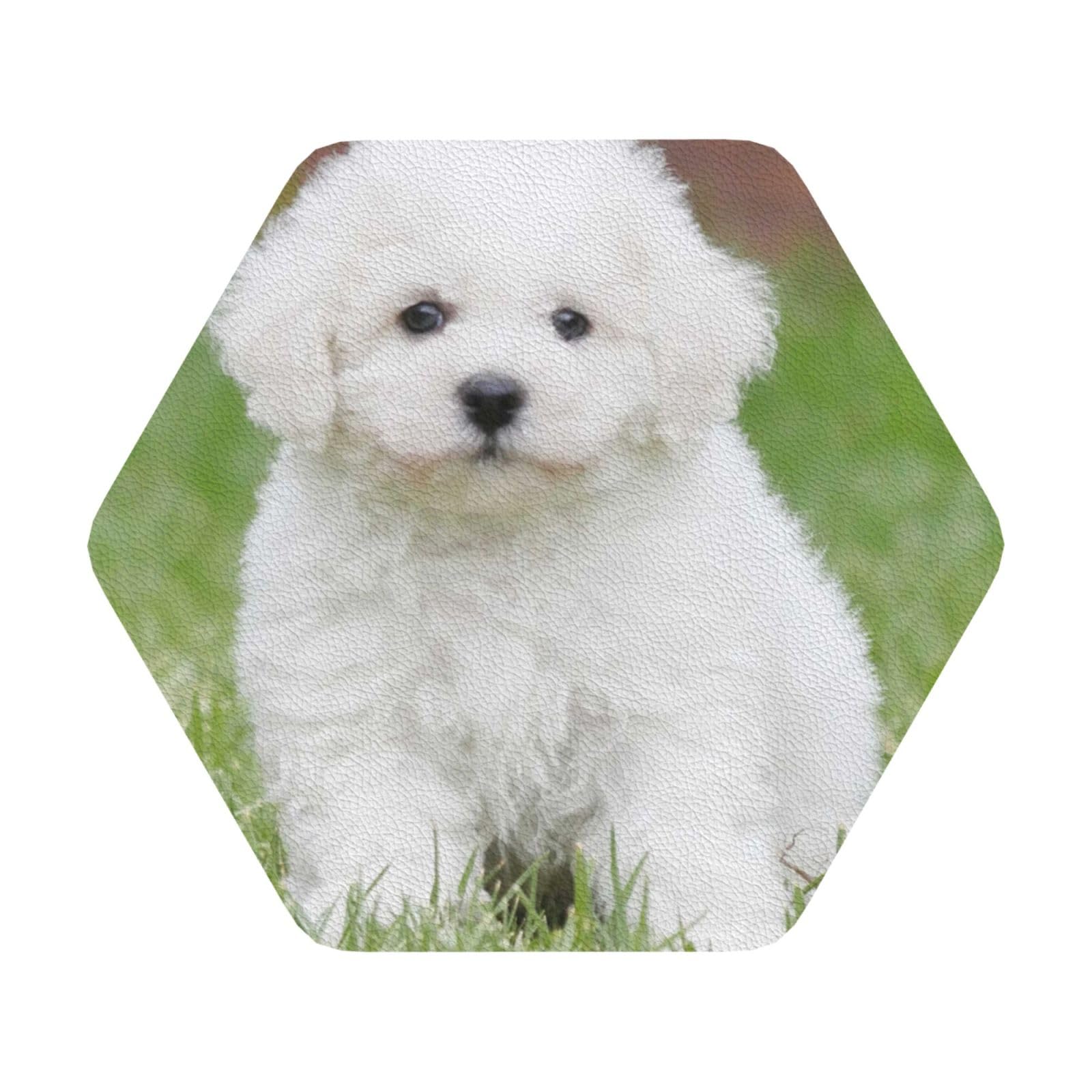 Bichon Frise Dog PU Leather Coasters Set of 6 Hexagon Drink Coasters