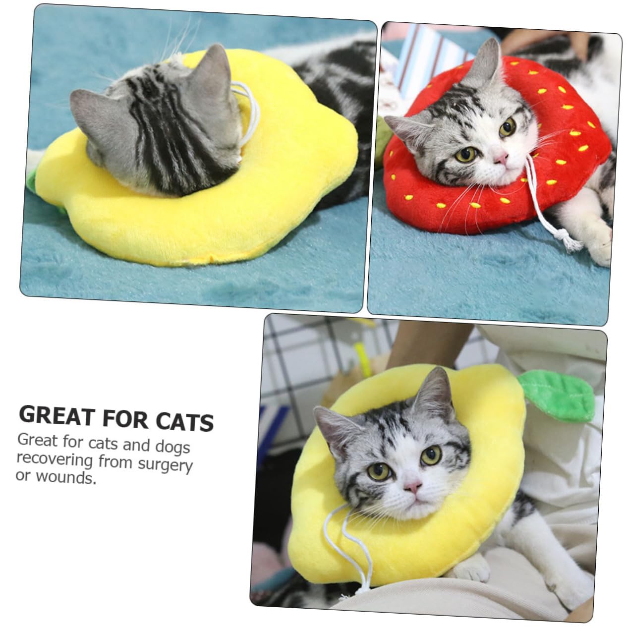 FOMIYES 3 Set Di Collare Per Gatti Cono Robusto Per Gatti E Cani Previene I Graffi Per 2 Pezzi * 3