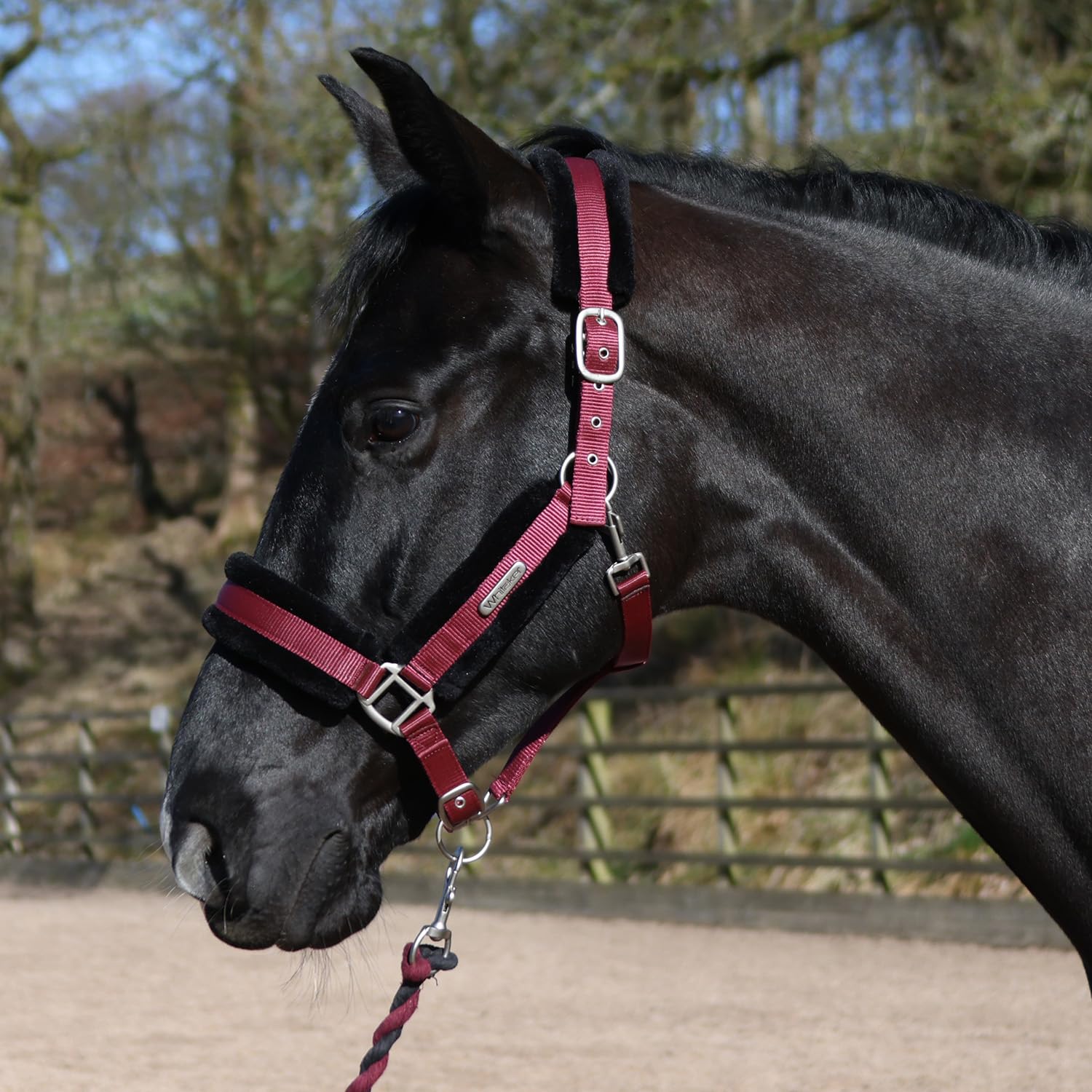 John Whitaker Holmfirth Halter Furry Headcollar and Leadrope Set for Horses (Burgundy, Cob)