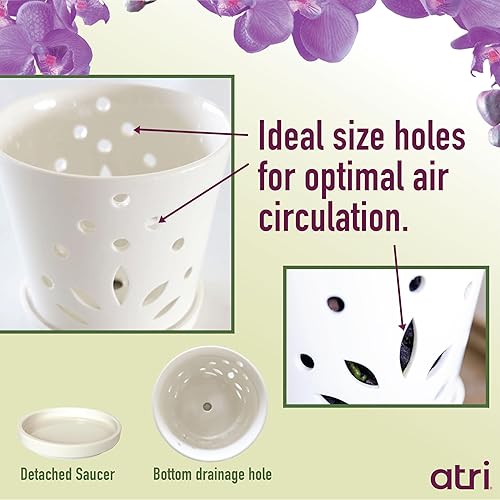 Miniatura 2 de Atri Maceta de cerámica para orquídeas con agujeros de 65 pulgadas maceta duradera 100 de porcelana con agujero de drenaje y platillo 6 pulgadas de