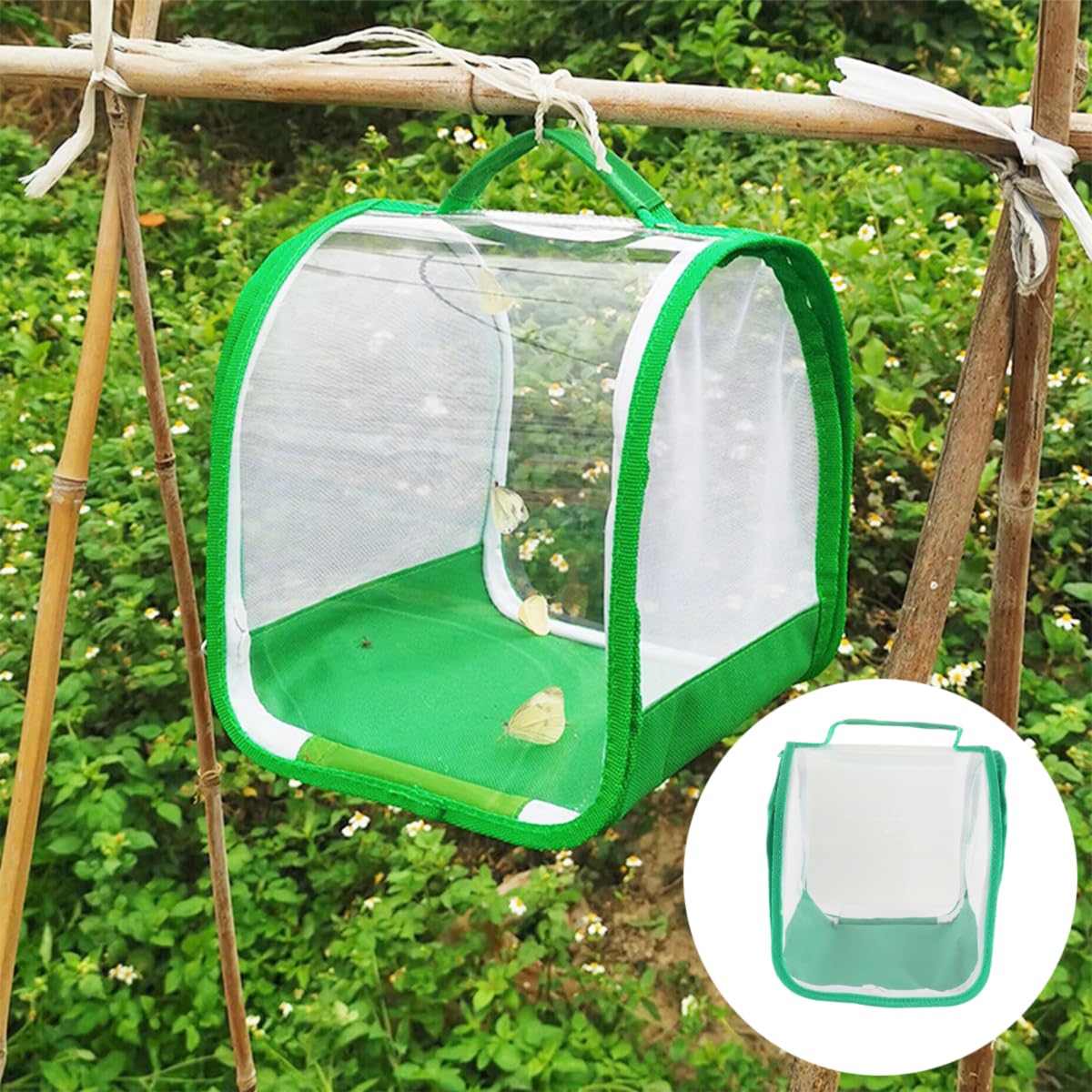 Qury Jaula de hábitat de mariposas, 7.9 x 7.9 x 7.9 pulgadas, plegable, malla de ventilación transparente con asa para mariposas, libélulas (verde)