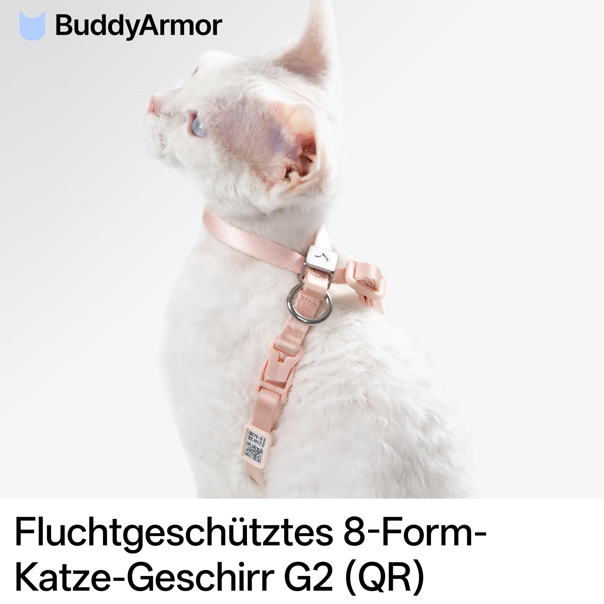 Harnais anti-éclatement pour chat - Réglable - Anti-étranglement - 8 formes - Harnais souple avec code QR - Anti-perte - Harnais sûr pour chat et chaton - Beige - Taille M