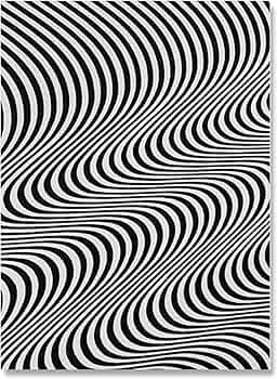 アートポスター ブリジット・ライリー エキシビジョンポスター 71TUv3yNFjL._UF350,350_QL50_.jpg