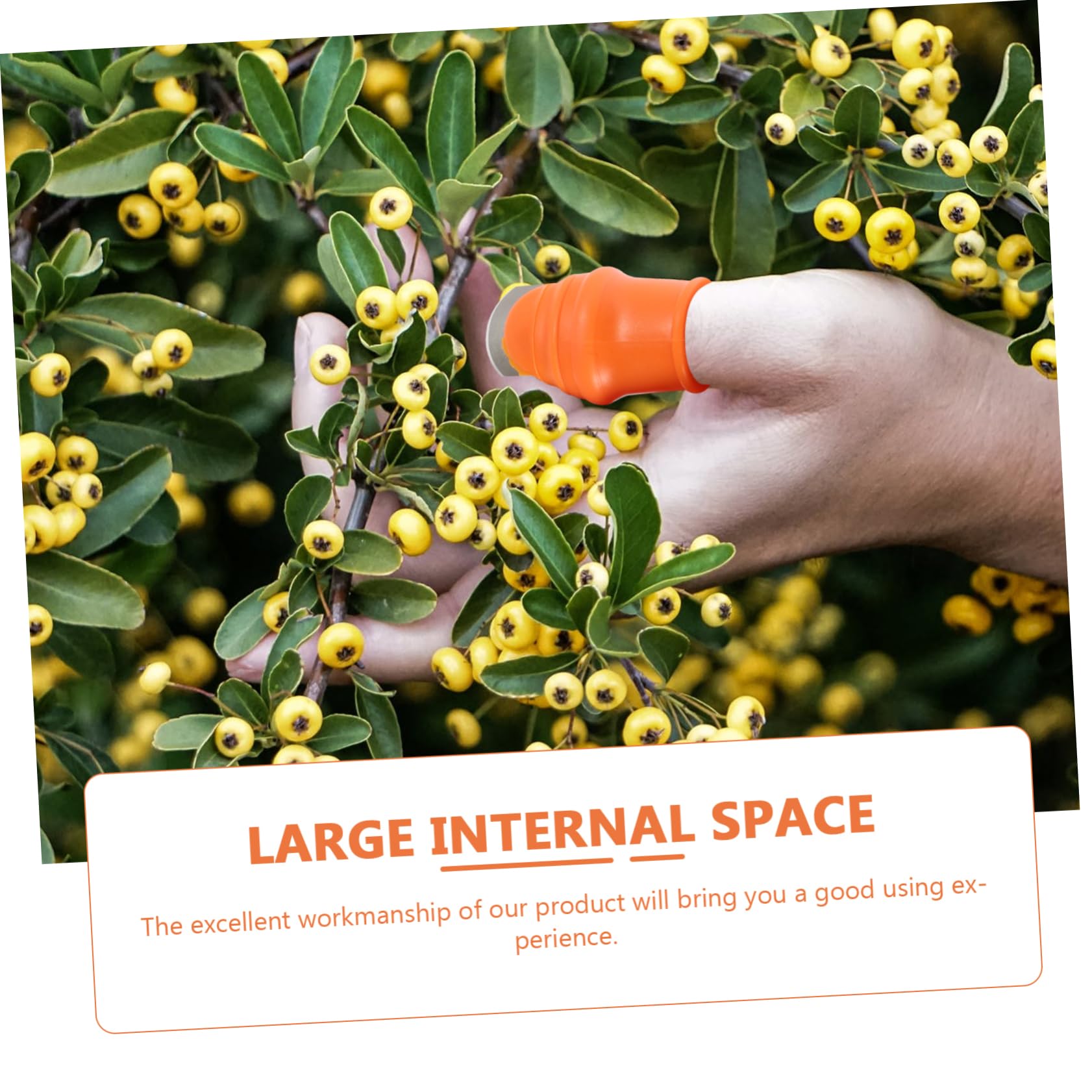 Toyvian 1 Set Vegetable Tool Thumb Cutter Knife Gardening Thumb Harvesting Sets Plant Picker