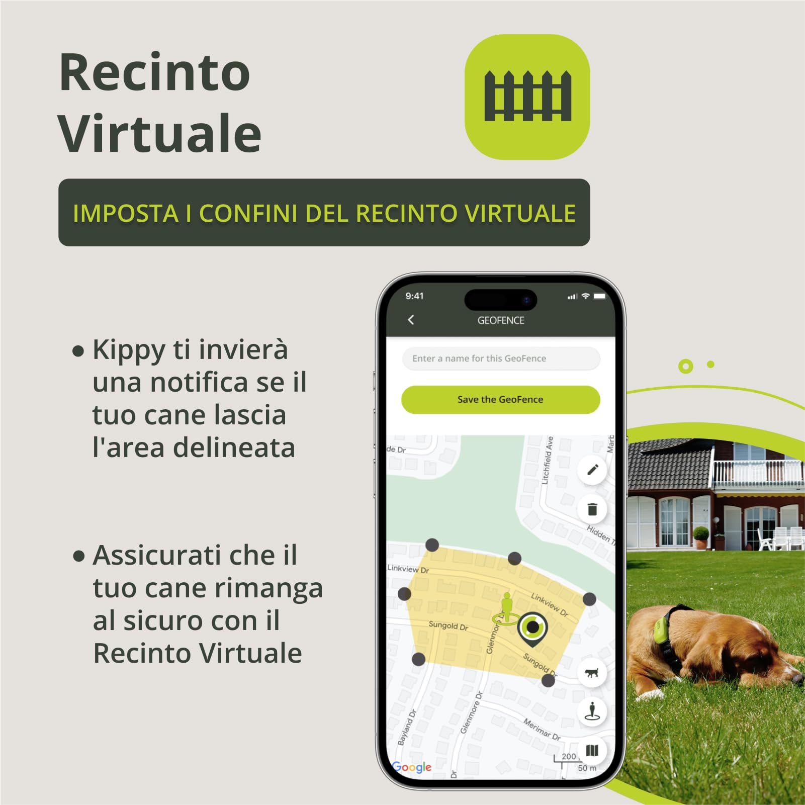 Kippy DOG | GPS per Cani - Localizzatore per Cani Impermeabile con GPS per Collare - Tracker di Attività e Salute del Tuo Cane, con Recinto Virtuale e Notifiche - Colore Verde
