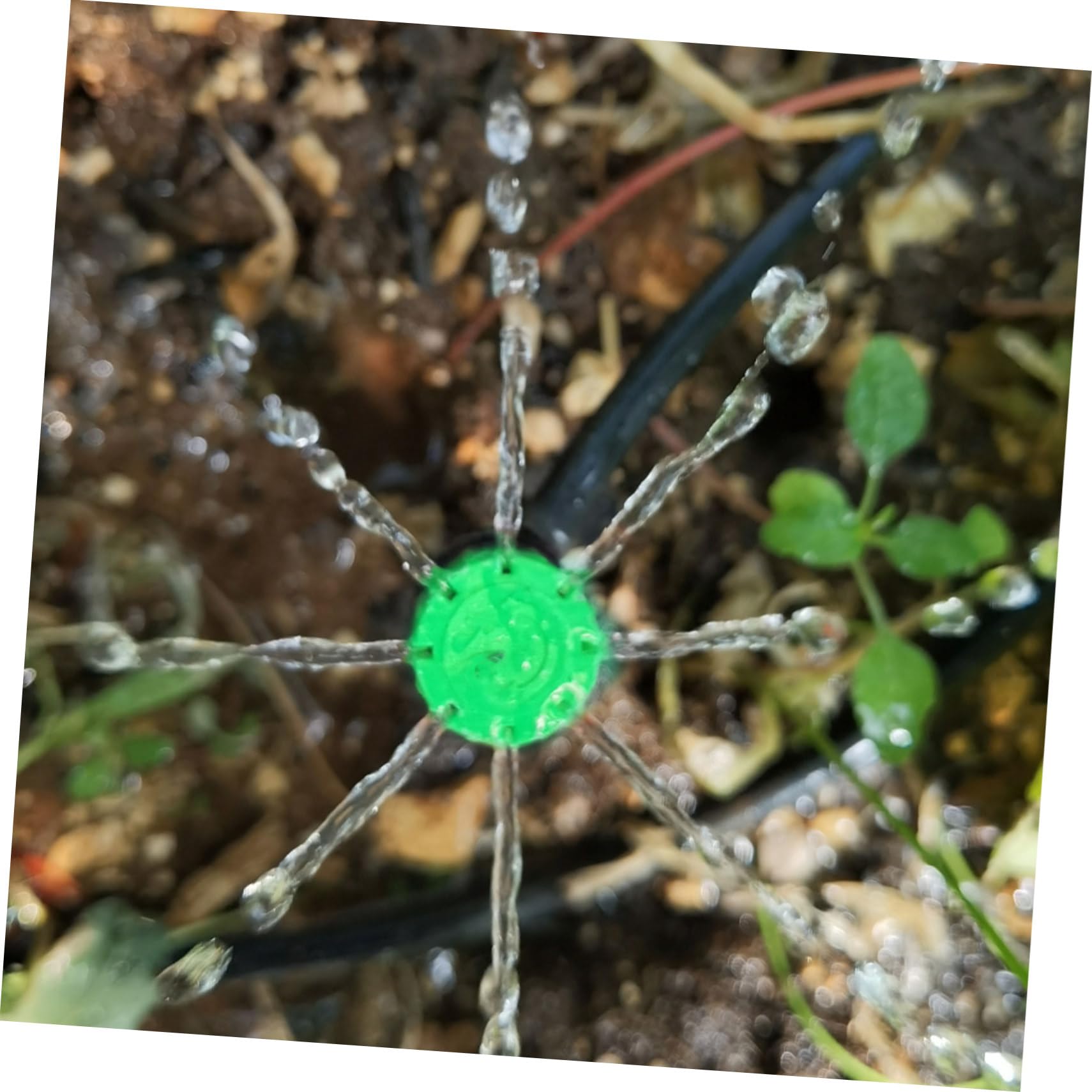 YARNOW 5 Set Di Ugelli Di Irrigazione Regolabili Irrigatori A Goccia Picchetti Per Irrigazione A Goccia Gocciolatori Per Uso A Bassa Pressione 50 Pezzi*5