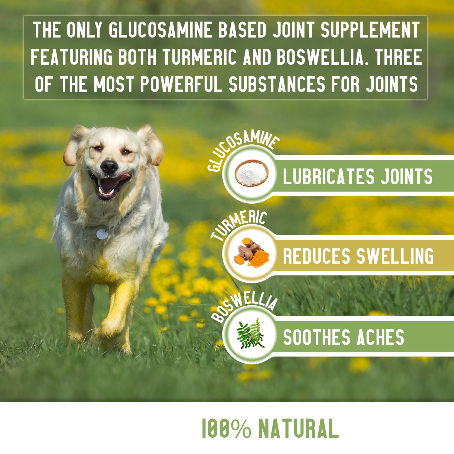 Buy wagmore Hip & Joint Care Supplement for Adult & Senior Dogs