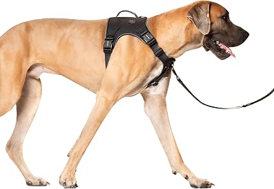 Canada Pooch Complete Control Dog Harness, Black, Medium Rompecabezas de Pintura