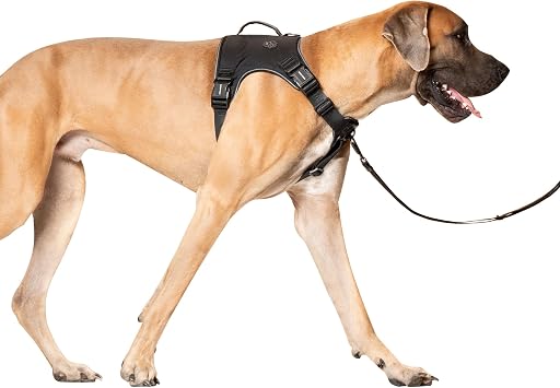 Canada Pooch Complete Control Dog Harness, Black, X-Large