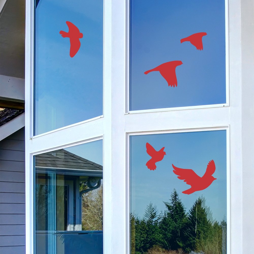 22 Silhouettes Oiseaux Anti-collision - Autocollants Pour Vitres, Avec Spray Et Raclette